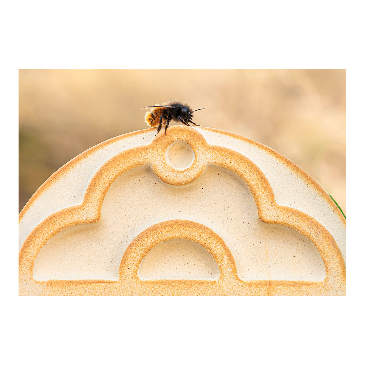 Wildbienenhaus Blume aus CeraNatur®-Keramik