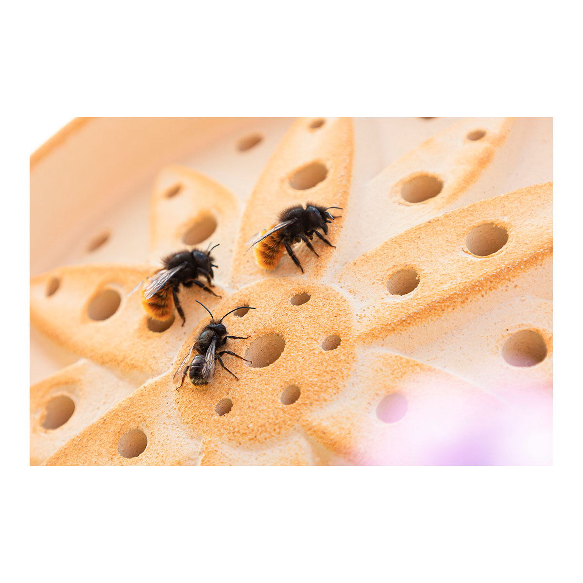 Wildbienenhaus Blume aus CeraNatur®-Keramik