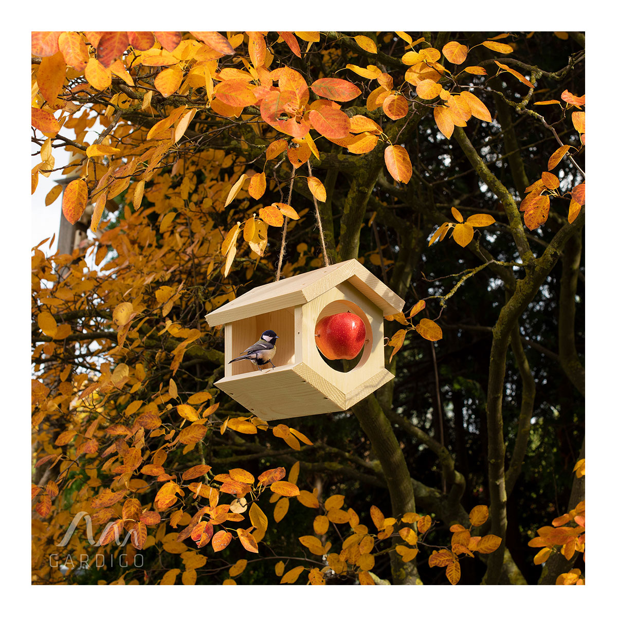  Vogel Futterhaus-Modul