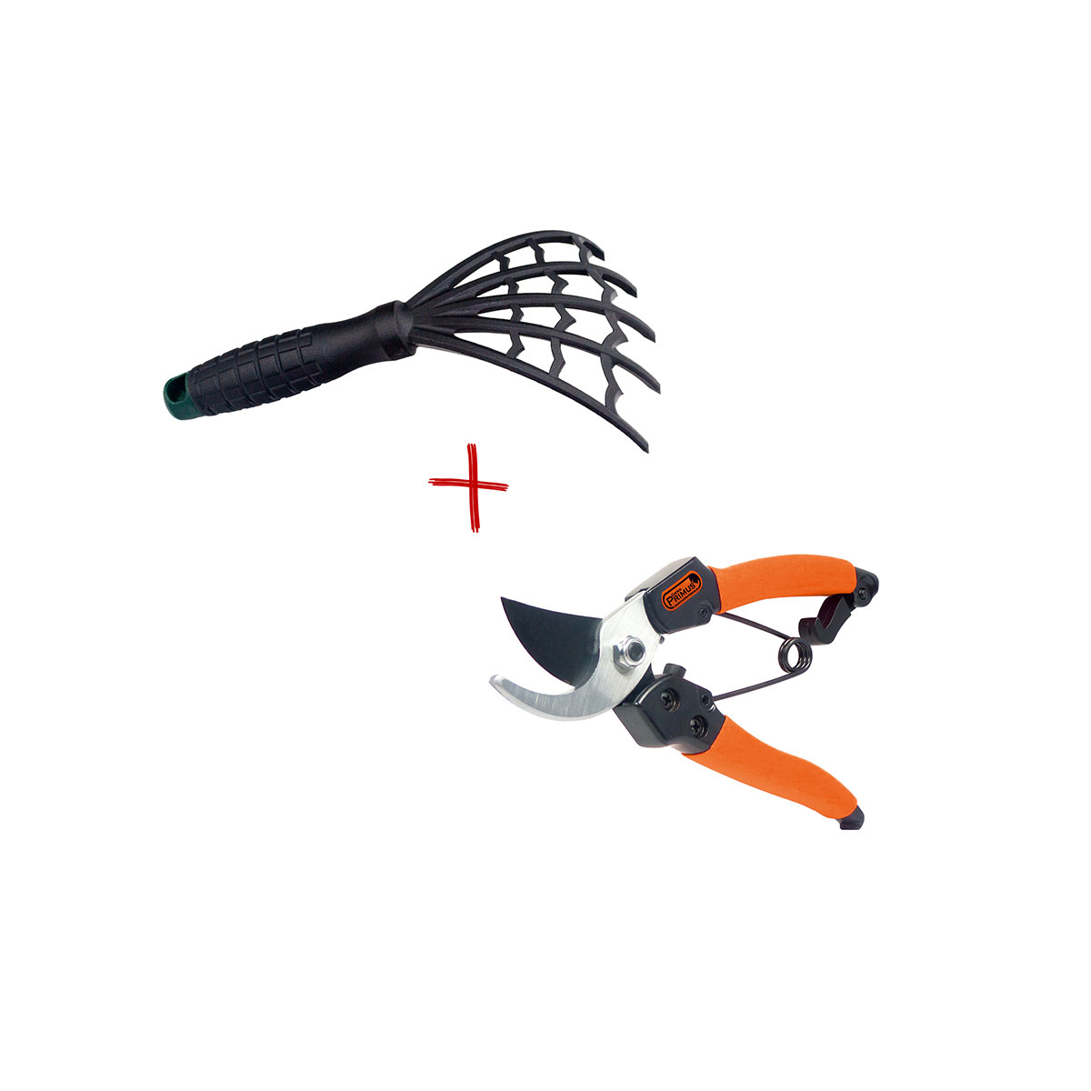 AKTION: Set Damenschere und Beetkralle