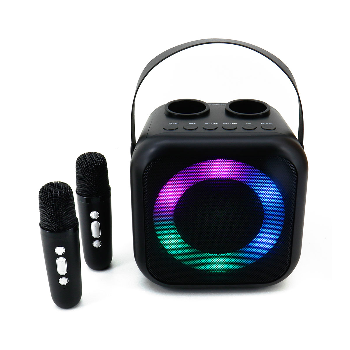 Tragbares Bluetooth® Karaoke System